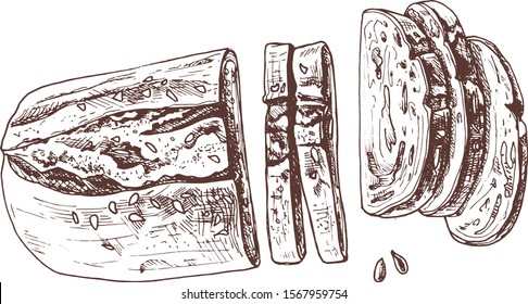 ciabata, fresh loaf and sliced ​​pieces, graphic drawing with a liner, isolated symbol of healthy eating