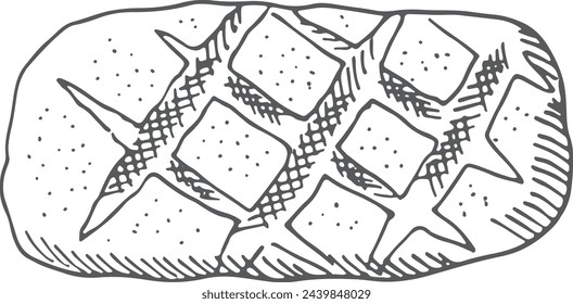Ciabatta drawing. Traditional homemade bread. Fresh bakery