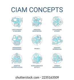 CIAM turquoise concept icons set. Customer identity and access management idea thin line color illustrations. Isolated symbols. Editable stroke. Roboto-Medium, Myriad Pro-Bold fonts used