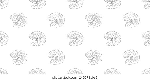 Cica green leaf seamless pattern. Centella asiatica vector illustration. Gotu kola repeated texture. Asian pennywort background for organic cosmetics, natural product, healthy food, drink design