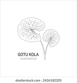 cica, vector, Centella Asiatica, gotu kola, herb, plant, logo, logotype, green, organic, nature, leaf, eco, cosmetics, kodavan, herbal, natural, illustration, health, asia, healthy, asiatic, pennywort