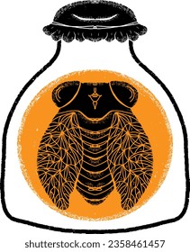 Cicada en el banco. Vector.