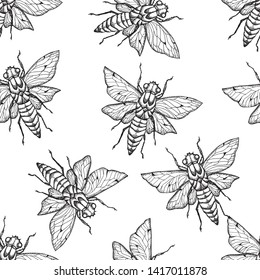 Cicada ,Bee.Vector background with hand drawn insects illustrations.  Entomological seamless pattern. 