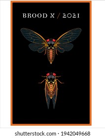 Cicada Brood X Poster, Black Bkgd