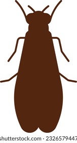 Cicada bug bugs insect flying Flat