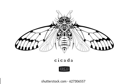 cicada drawing vector illustration. Isolated insect with open wings on white background. Creative design