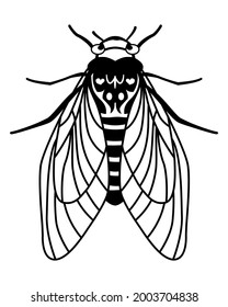 Cicada With Folded Wings. Flying Insect - Fly, Bee, Butterfly, Cicada. Abstract Illustration. Linear Style. Black Outline Drawing Isolated On White Background. Fly Icon, Logo, Clipart