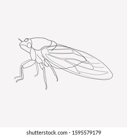 Cicada icon line element. Vector illustration of cicada icon line isolated on clean background for your web mobile app logo design.