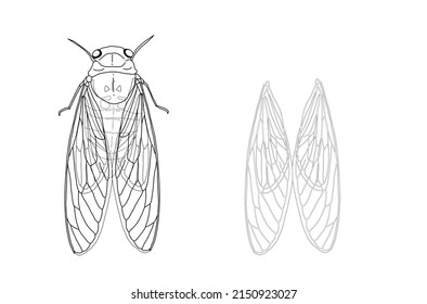 free black and white insect clipart wing