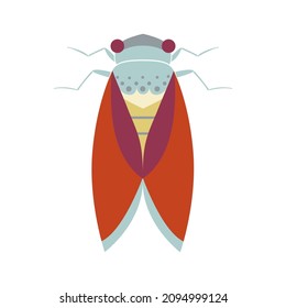 insecto Cicada. Diseño decorativo. Ilustración vectorial de insectos geométricos en estilo plano