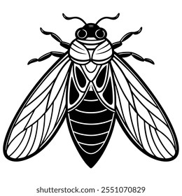 Ilustração vetorial plana de inseto Cicada em um fundo branco