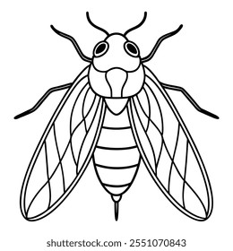 Ilustração vetorial plana de inseto Cicada em um fundo branco