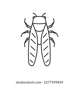 Cicada insect icon. High quality black vector illustration.