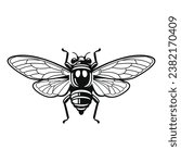 Cicada Insect on White Background. Vector