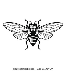 Insecto Cicada sobre fondo blanco. Vector