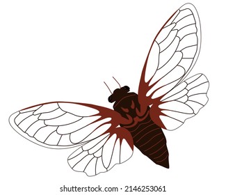 A cicada insect with open wings. The surrounding world of flora and fauna. Vector illustration isolated on a white background for print