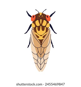 Insecto cicatriz, vista superior. Escarabajos con alas desde arriba. Cicadidae, bicho manchado, naturaleza salvaje. Primavera, fauna de verano. Ilustración vectorial plana aislada sobre fondo blanco