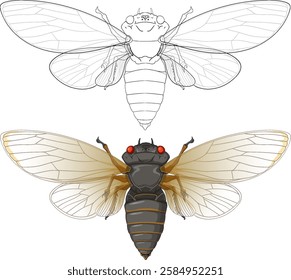 Cicada with intricate wing and body details