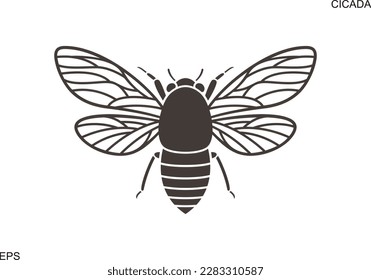 Logo de Cicada. Cigarra aislada sobre fondo blanco