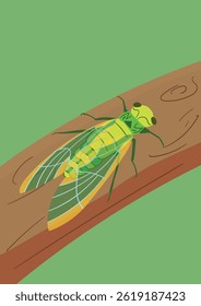 cicada on the branch illustration