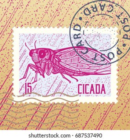 Cicada. Vector engraving hatching black and white illustration. Stamp. Mark. Postcard.