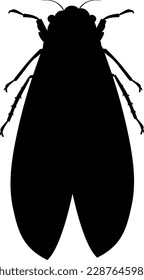 cicada vector silhouette black one