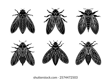 Cicadas silhouette vector set with white background