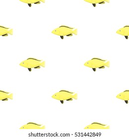 Cichlid hummingbird fish icon cartoon. Singe aquarium fish icon from the sea,ocean life cartoon.