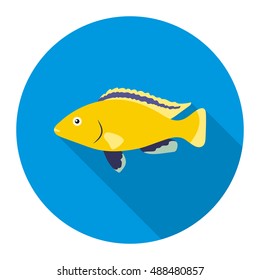 Cichlid hummingbird fish icon flat. Singe aquarium fish icon from the sea,ocean life long shadow.