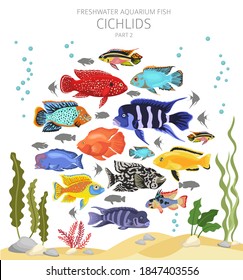 Cichlids Fish. Freshwater Aquarium Fish Icon Set Flat Style Isolated On White.  Vector Illustration