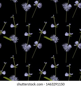 Cichorium seamless pattern. Blue flowers, green leaves on black stock vector illustration for web, for print, for fabric print, for wallpaper