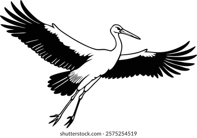 Ciconia in front of a white background  vector art illustration 