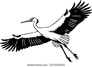 Ciconia in front of a white background  vector art illustration 