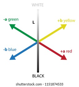 CIELAB, L*a*b* or Lab - a device independent colour space which include green, red, yellow, blue, white and black colors. Vector scientific illustration