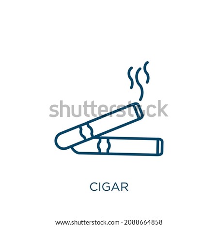 cigar icon. Thin linear cigar outline icon isolated on white background. Line vector cigar sign, symbol for web and mobile