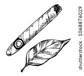 Cigar and tobacco leaf engraving vector illustration. Scratch board style imitation. Black and white hand drawn image.