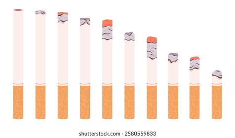 Cigarette burning. Isolated cigarettes cartoon burn stages. Smoking process, ash of butt. Harmful addiction of tobacco, racy vector elements