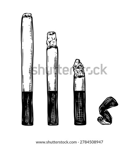 cigarette set collection vector illustration with line art drawing