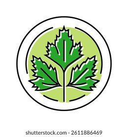 cilantro cosmetic plant color icon vector. cilantro cosmetic plant sign. isolated symbol illustration