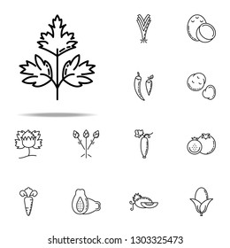 cilantro dusk style icon. Vegetables icons universal set for web and mobile