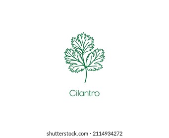 ilustración vectorial de icono de hierba cilantro 