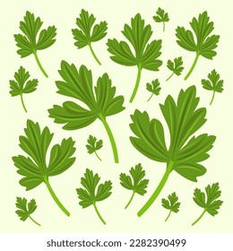 Cilantro herbs flat vector illustration. Cute healthy green cilantro herbs vegetable cartoon vector illustration for graphic design and decorative element