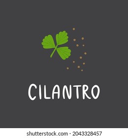 Cilantro leaf and seeds with lettering. Flat hand drawn scent spice for food isolated on dark background.