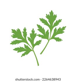 Cilantro Leaves Vektorgrafik flach, vollständig verstellbar und skalierbar.  Einzeln auf weißem Hintergrund. Für Web, Menü, Logo, Textilien, Symbol. Vektorgrafik