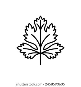 Cilantro, line icon. Leaf, herb, spice, ingredient. Minimalist illustration, symbol, editable strokes.
