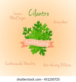 Cilantro medicinal benefits infographic vector illustration