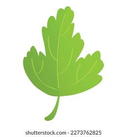 Cilantro parsley icon cartoon vector. Leaf plant. Herb food