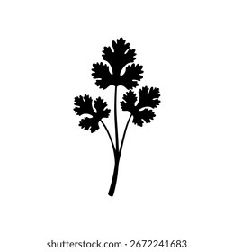 Projeto de ilustração plana de vetor de silhueta de Cilantro.