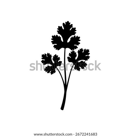Cilantro silhouette vector flat illustration design.