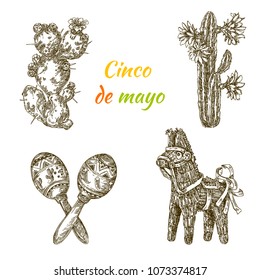 Cinco de mayo. Beautiful set elements. Cactus with flowers, pinata - donkey and maracas. Engraving style. Vector illustration.